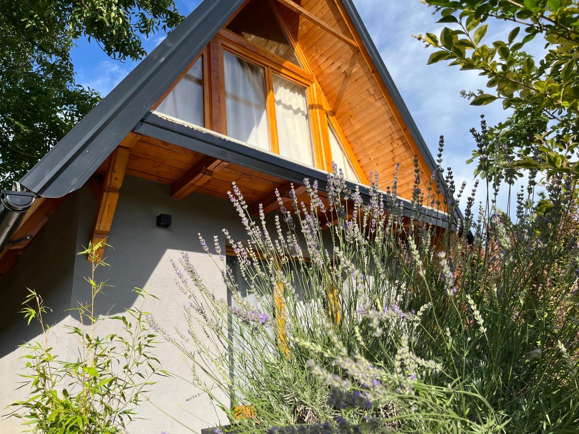 Petrovaradin Chalet Novi Sad Exterior foto